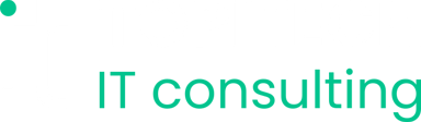 TOPITECH — IT consulting